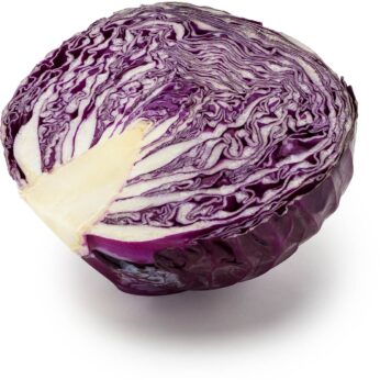Cabbage – Red – Half